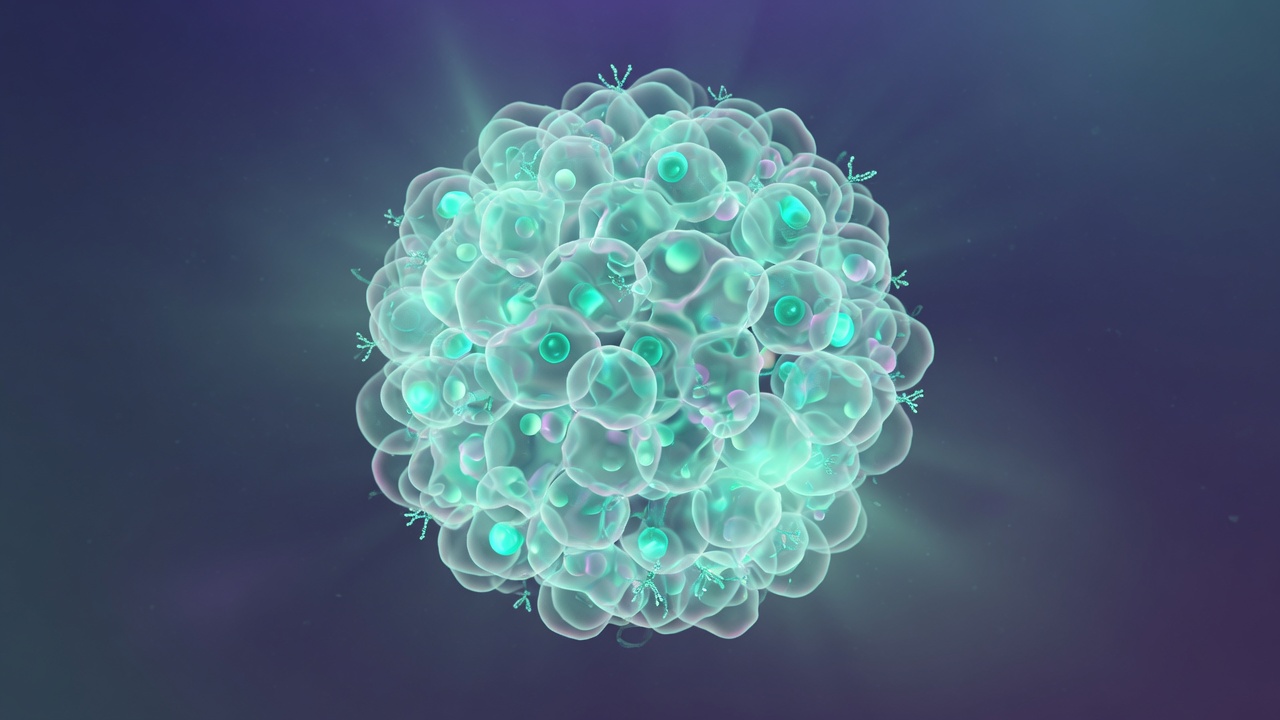 Abstract organoid research imagery