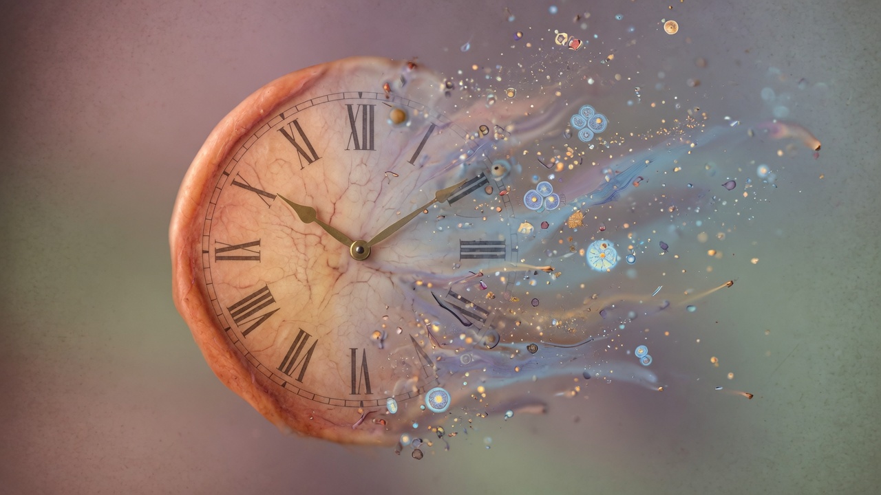 Epigenetic clocks: useful signal, not a verdict